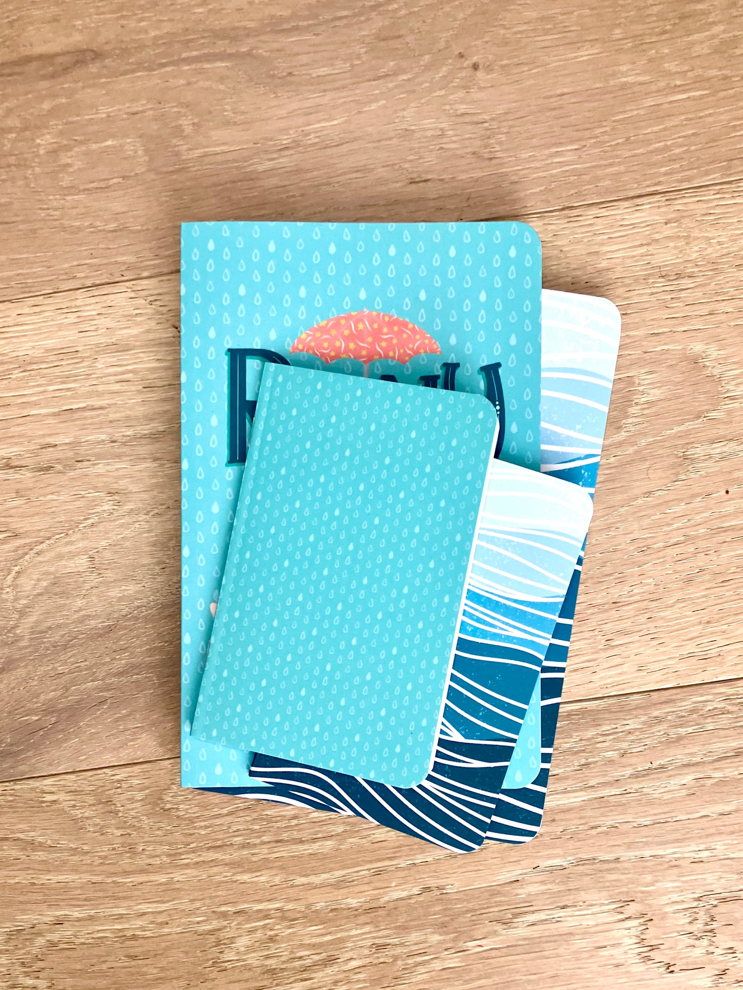 Journal Bundle- Medium Softcover and Pocket Size
