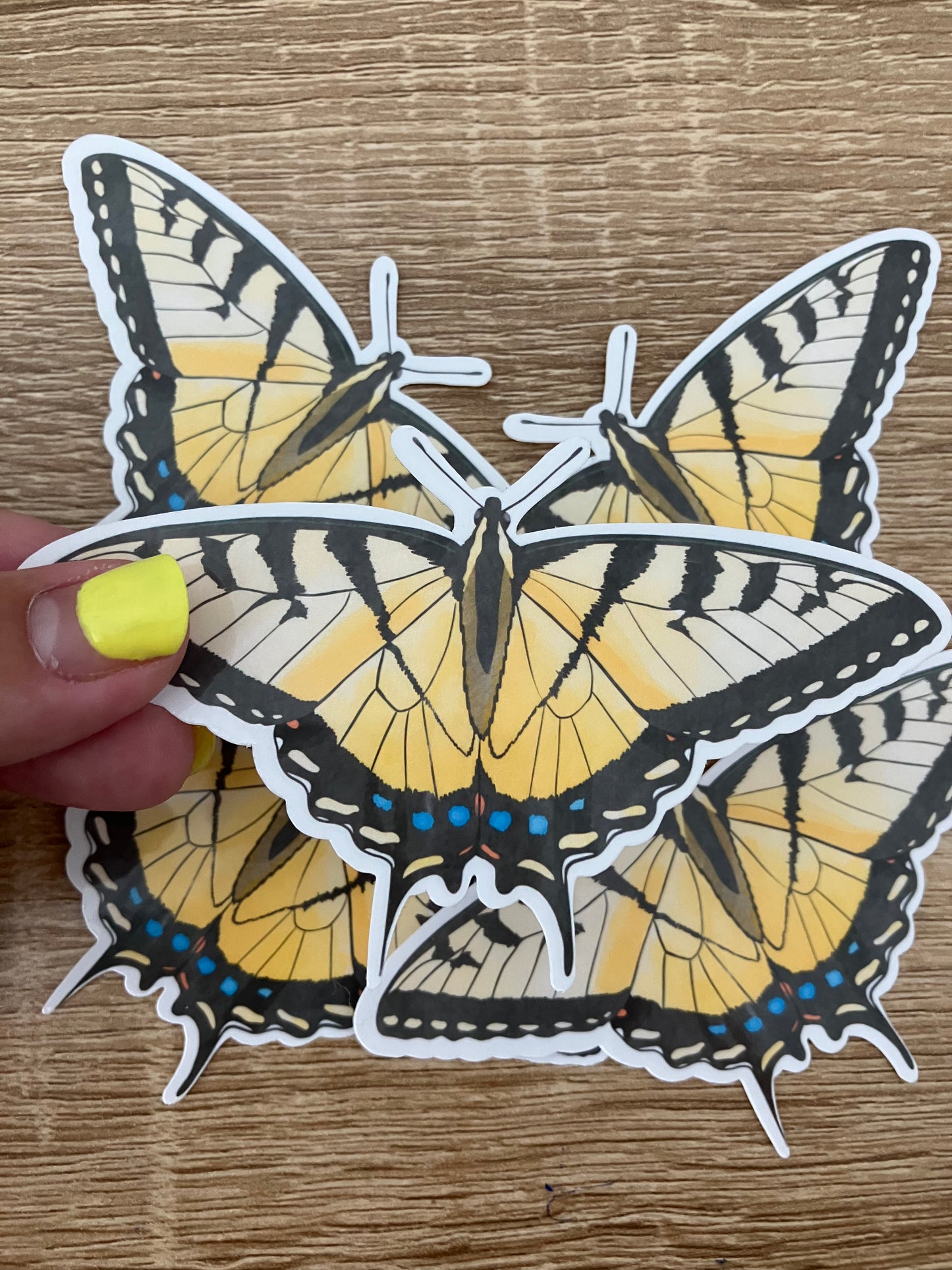 Tiger Swallowtail Butterfly Weatherproof Sticker